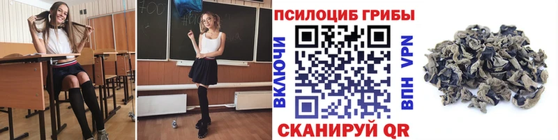 где найти   Королёв  Галлюциногенные грибы мухоморы 